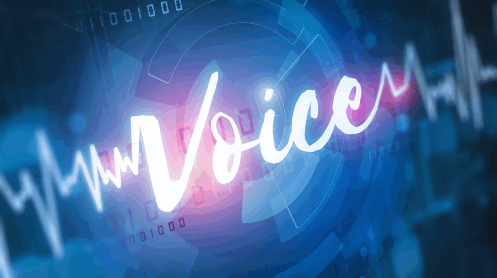 Voice Recognition